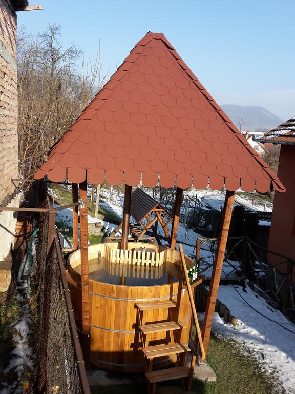 Pension Norbert Сігішоара Екстер'єр фото